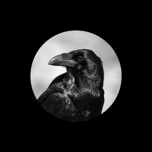 通勤车上满员黑裤袜OL
