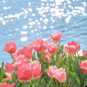 通勤车上满员黑裤袜OL
